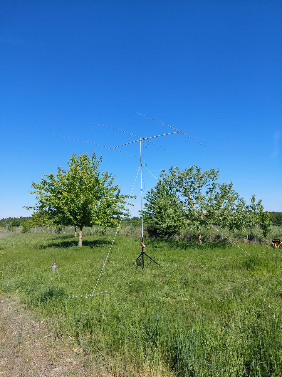 Fieldday Bild